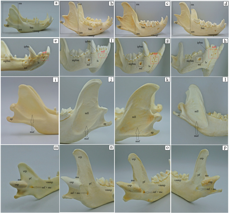 Figure 16