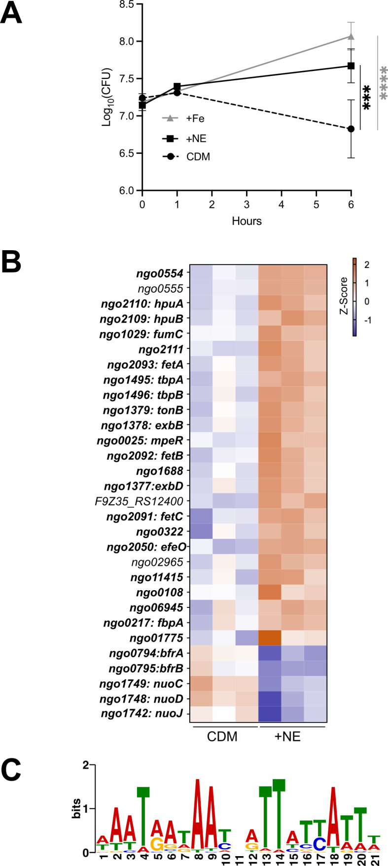 Fig 3