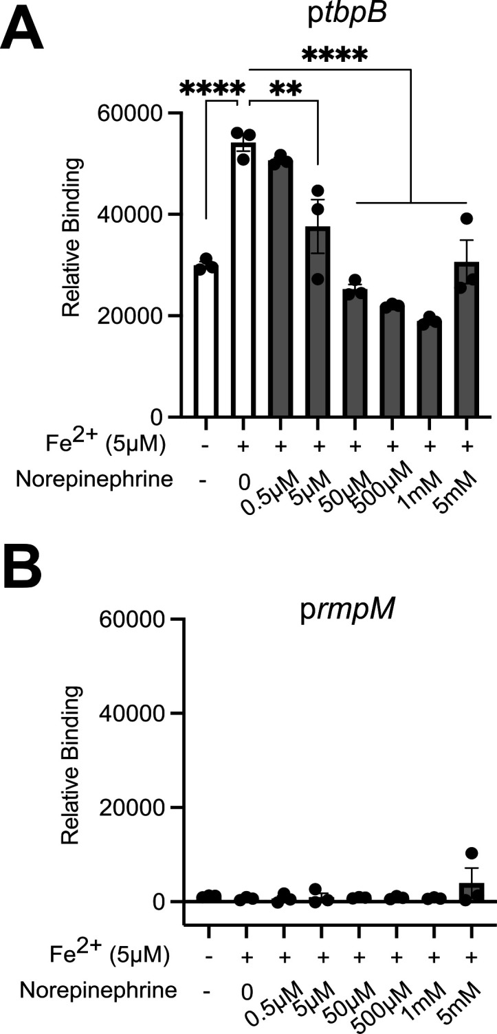 Fig 5