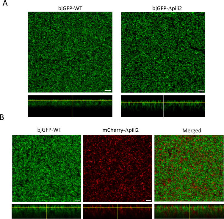 Fig 3