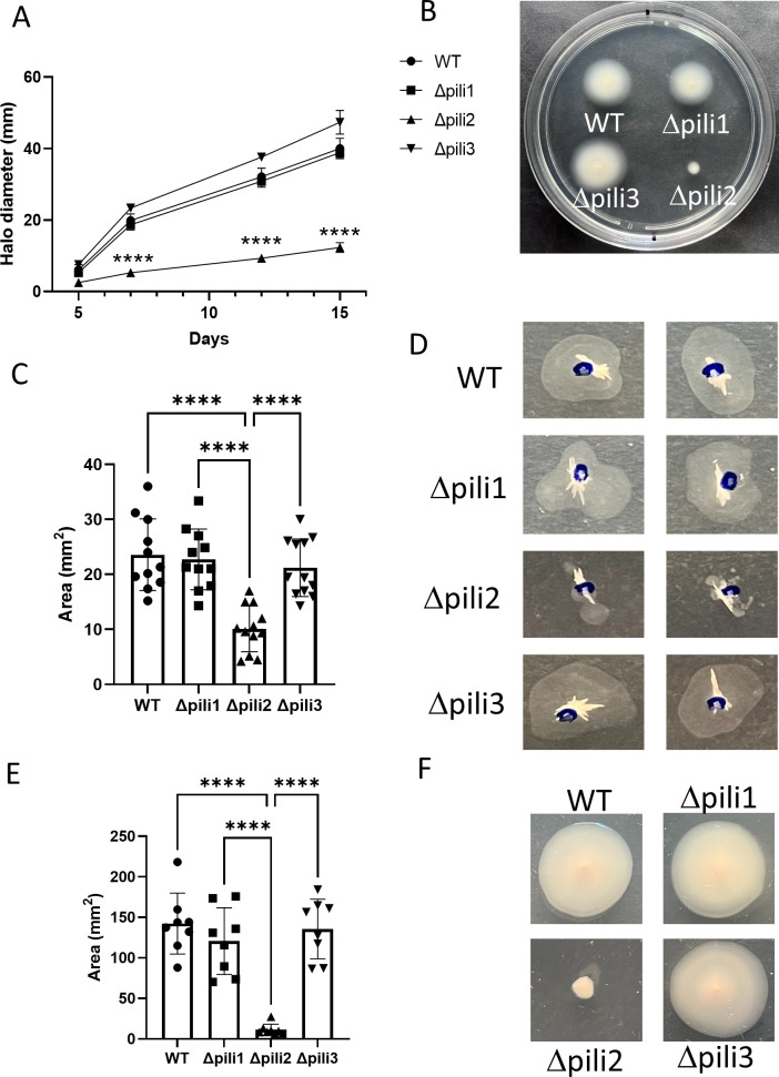 Fig 4