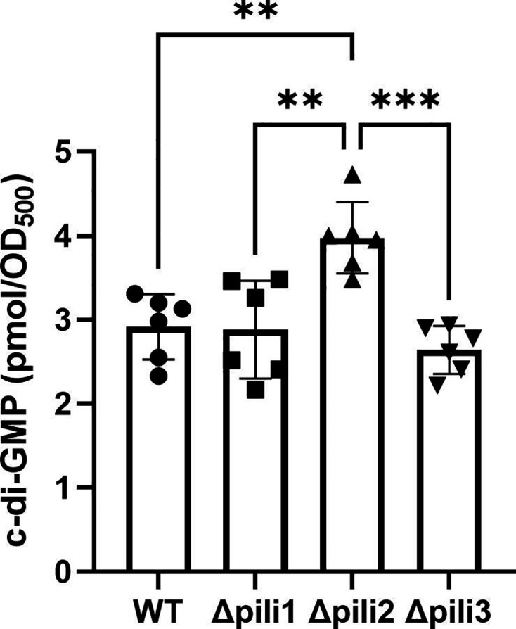Fig 6