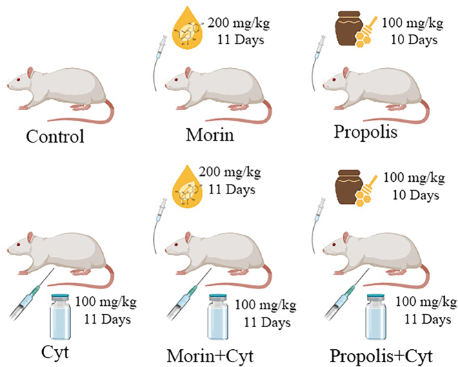 Figure 1