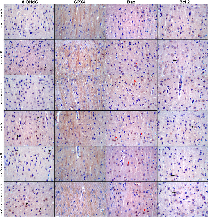 Figure 4