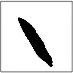 Figure 31