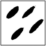 Figure 38