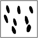 Figure 40
