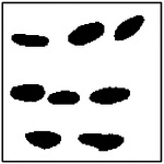 Figure 42