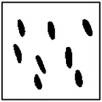 Figure 43