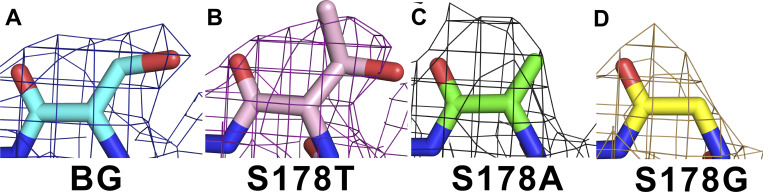 Figure 5