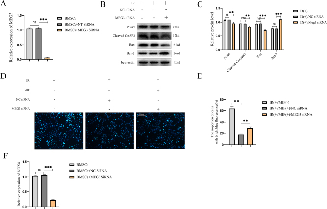 Figure 3