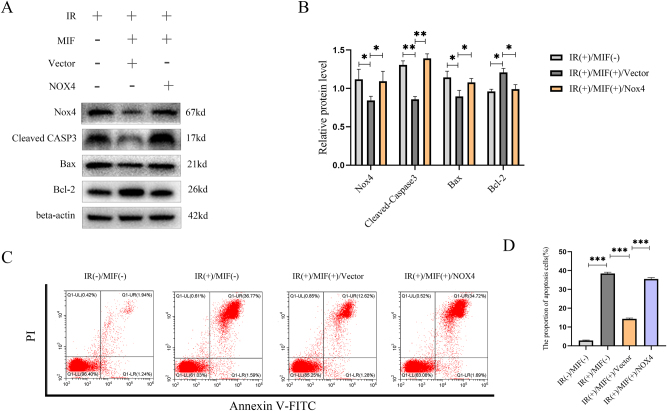 Figure 4