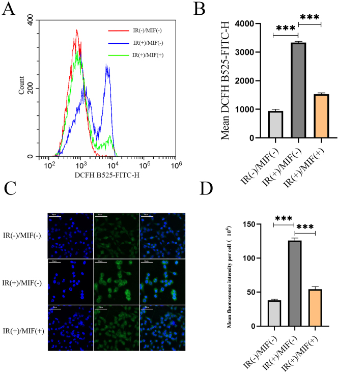 Figure 5