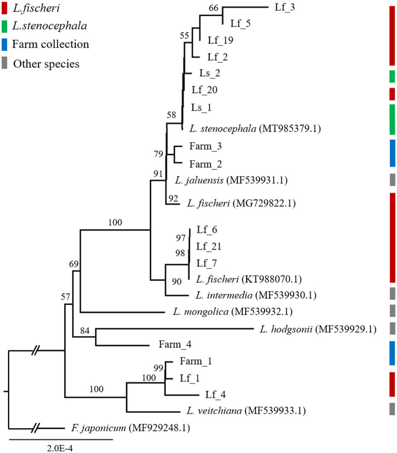Fig 2