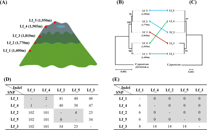 Fig 4