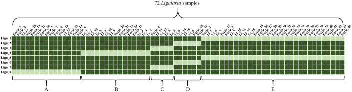 Fig 6