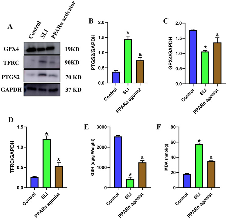 Fig 4