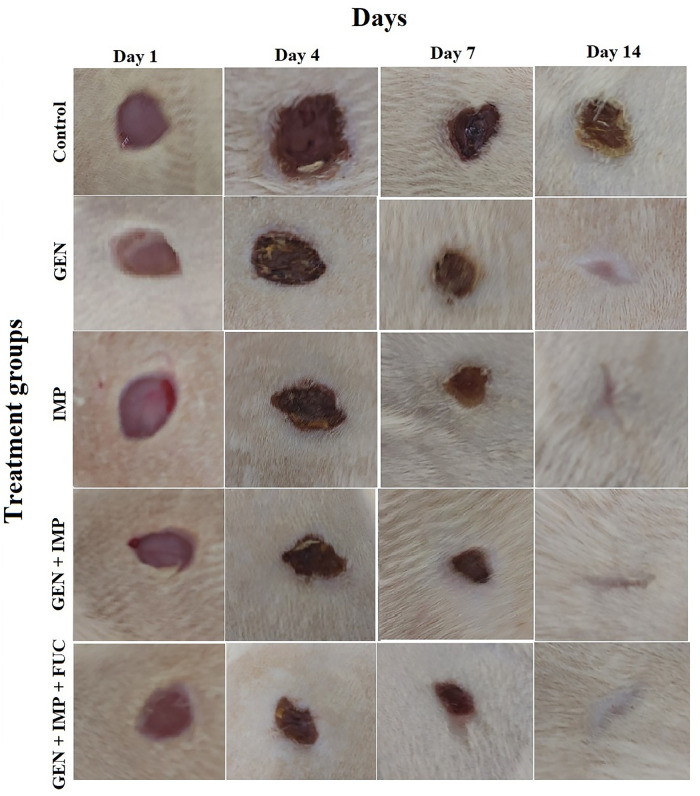 Fig 3