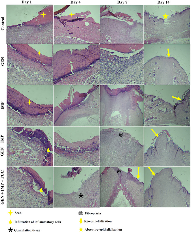 Fig 6