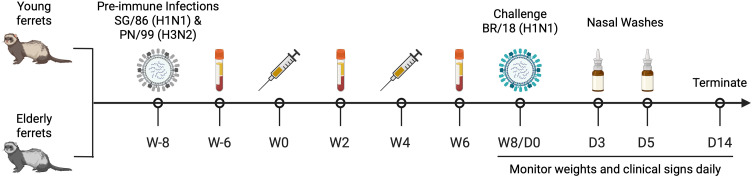 Fig 1