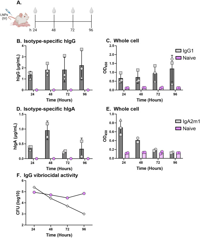 Fig 3