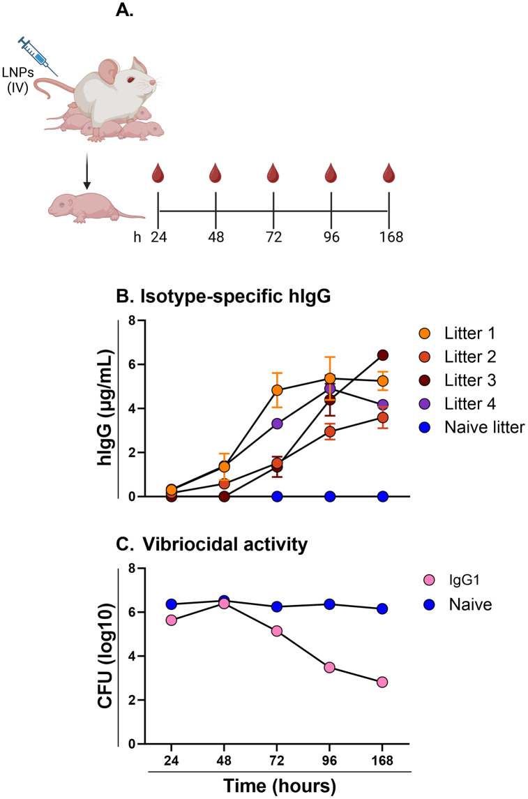 Fig 4