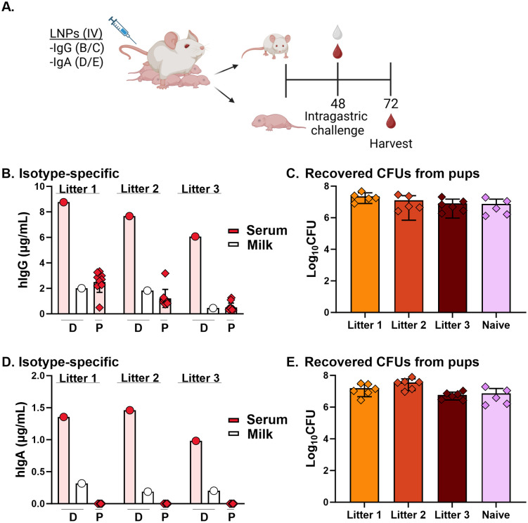 Fig 5