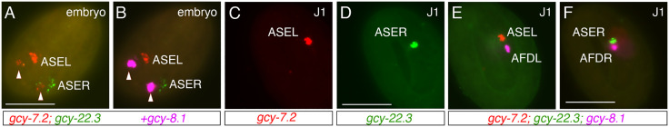 Fig 5