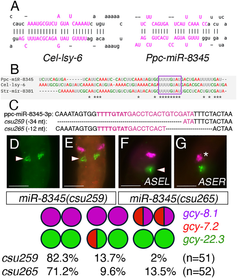 Fig 12