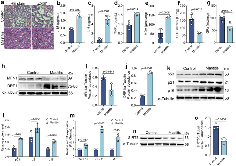 Fig 10