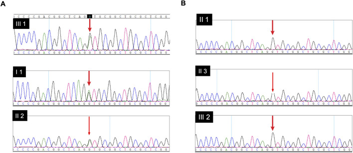 FIGURE 3