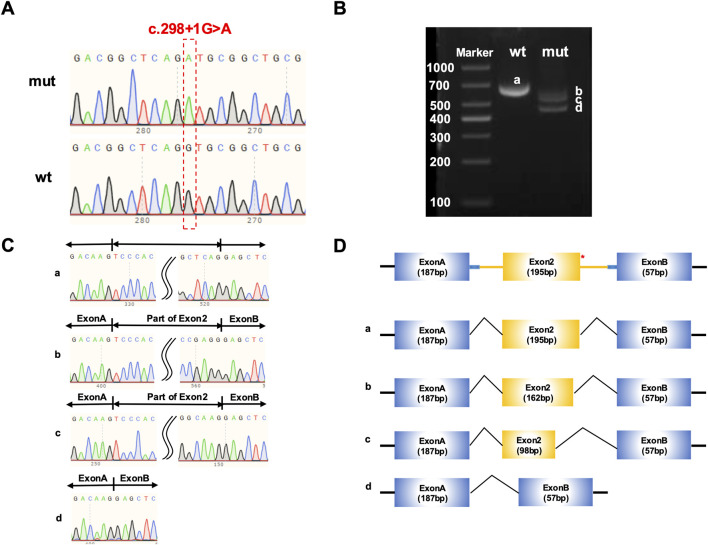 FIGURE 4