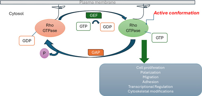Figure 1