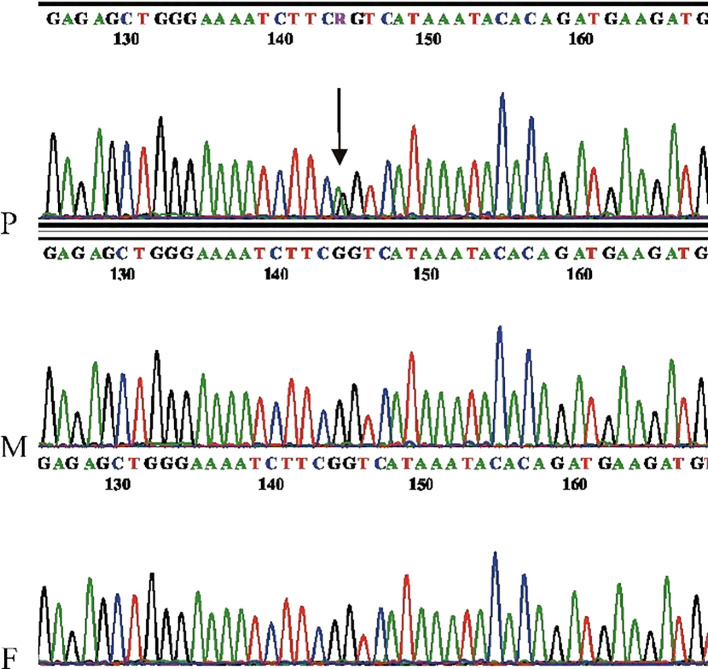 Figure 3