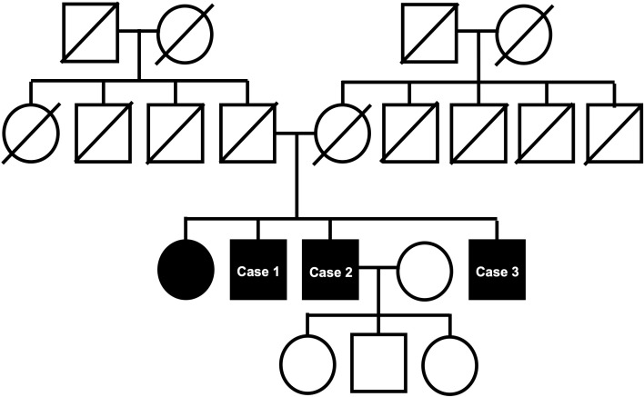 Figure 1