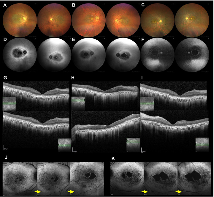 Figure 3
