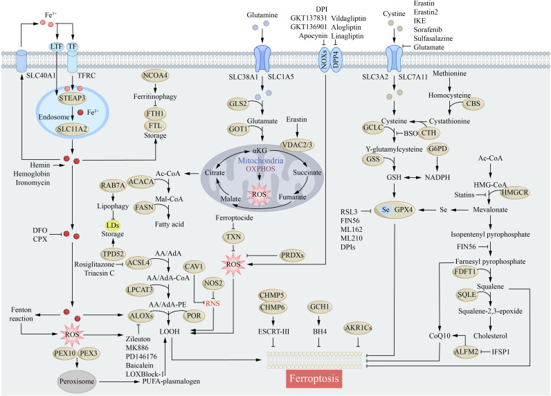 Figure 2