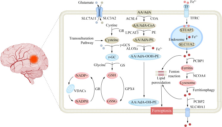 Figure 3