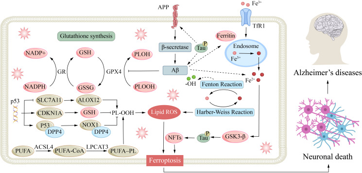 Figure 4