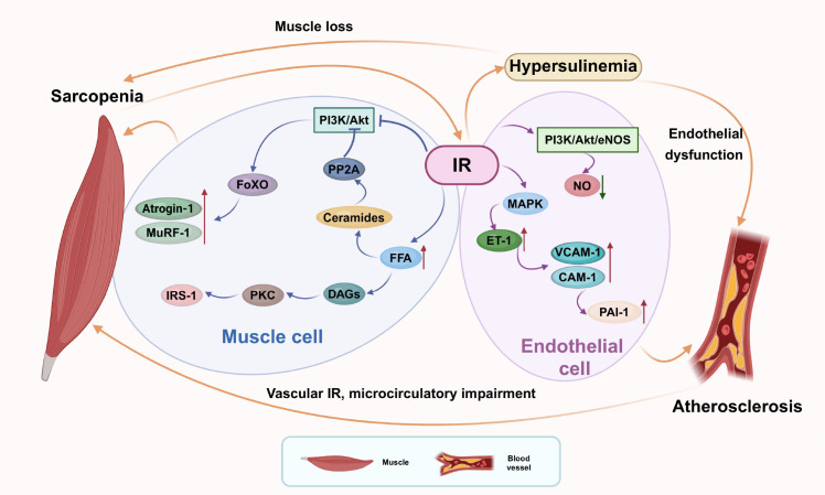 Figure 2