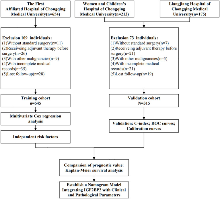 Figure 1