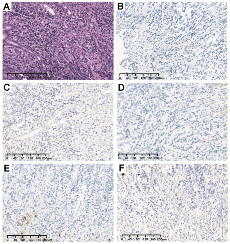 Figure 2