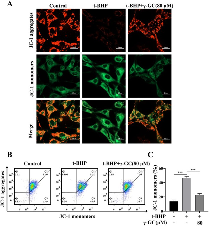 FIGURE 3
