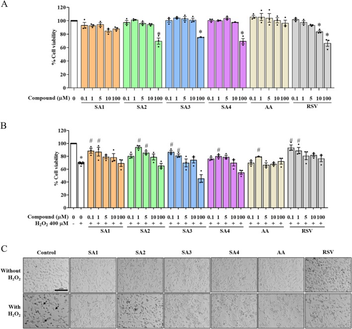 FIGURE 2