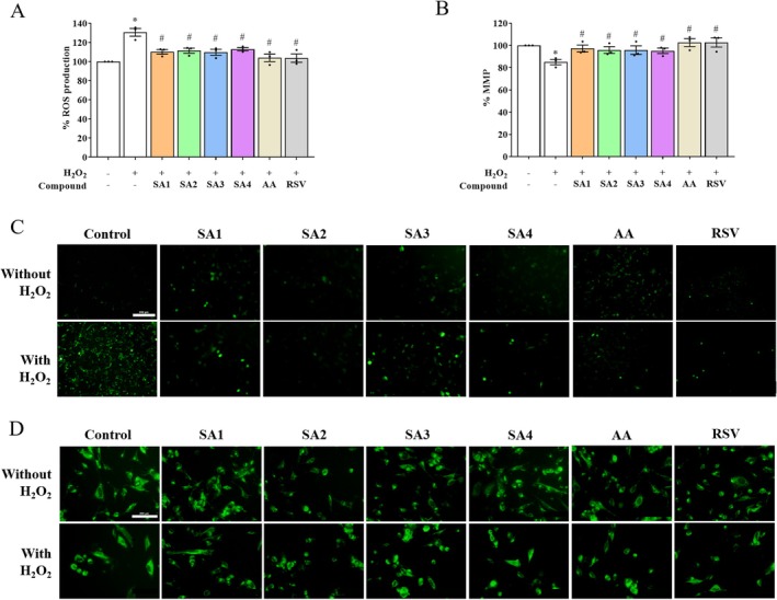 FIGURE 4