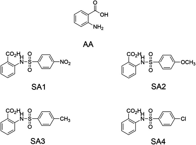 FIGURE 1