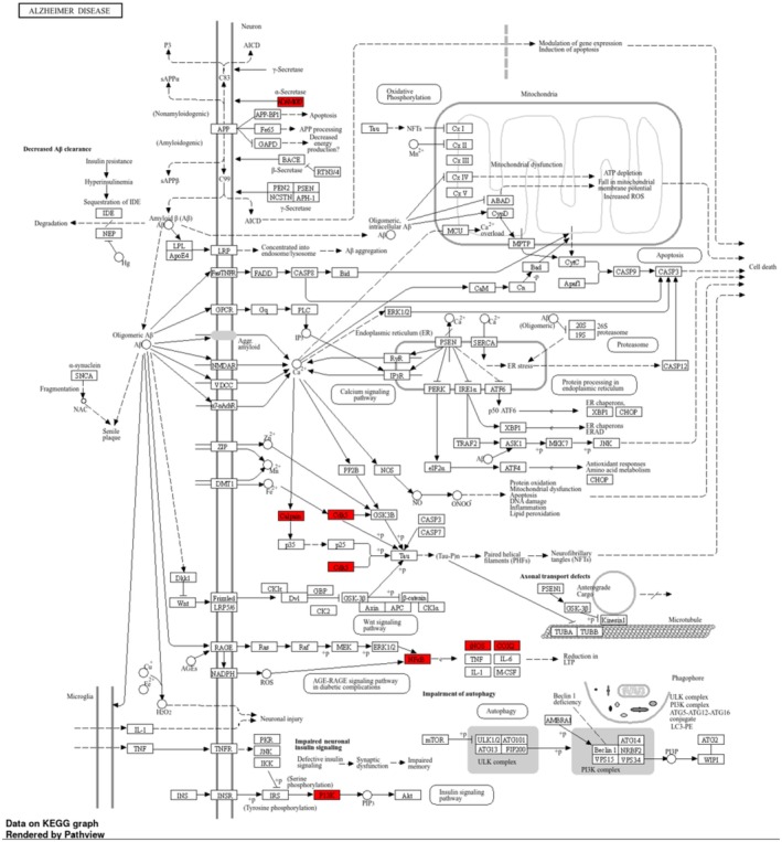 FIGURE 9