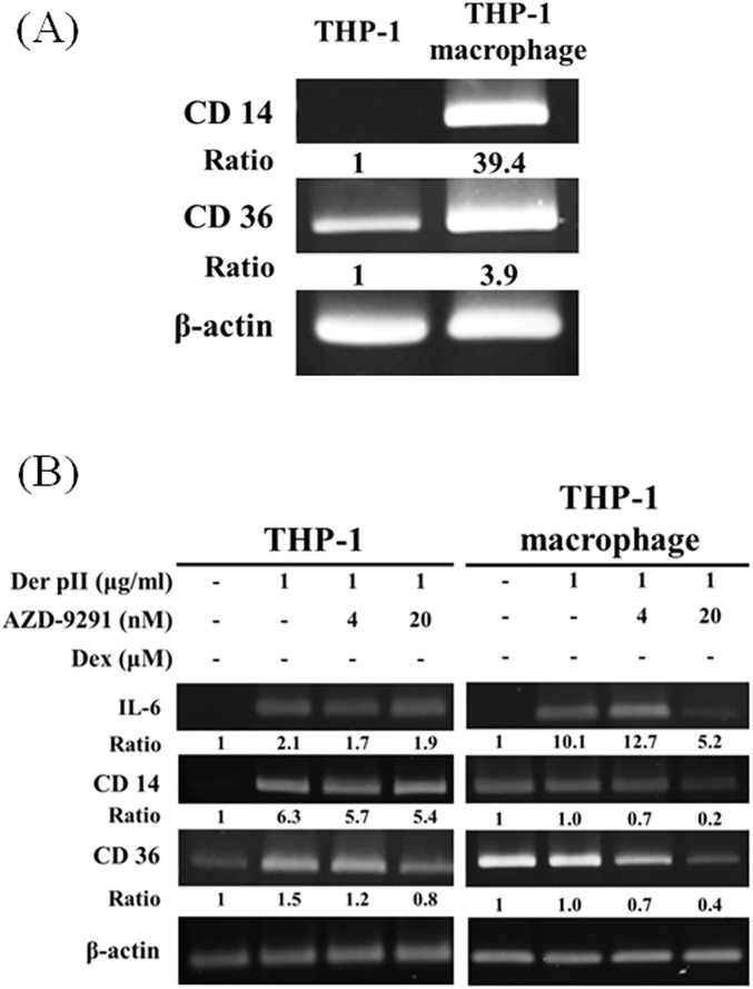 Figure 4