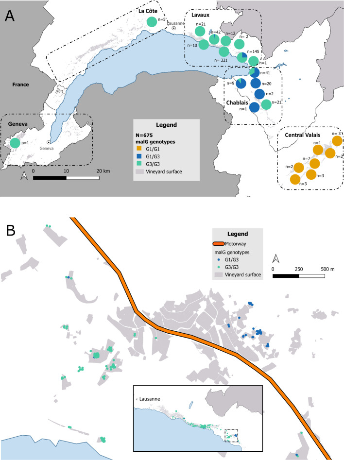 Figure 2
