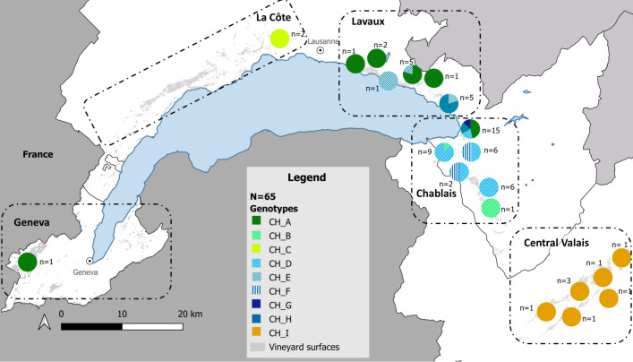 Figure 4